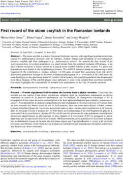 First record of the stone crayfish in the Romanian lowlands
