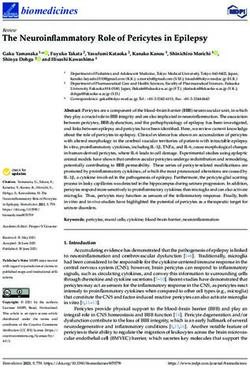 The Neuroinflammatory Role of Pericytes in Epilepsy - MDPI