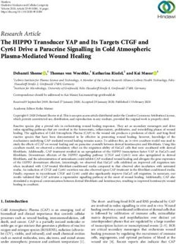 The HIPPO Transducer YAP and Its Targets CTGF and Cyr61 Drive a Paracrine Signalling in Cold Atmospheric Plasma-Mediated Wound Healing
