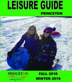 PRINCETON - FALL 2018 WINTER 2019 - Document Center