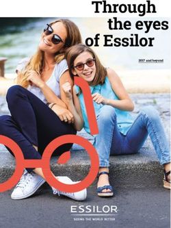 Through of Essilor the eyes - 2017 and beyond - Essilor International