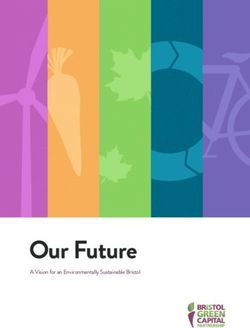 Our Future A Vision for an Environmentally Sustainable Bristol - Bristol Green Capital Partnership