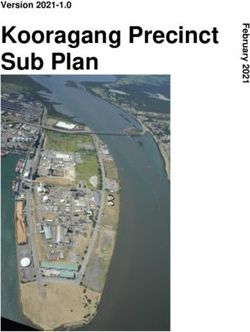 Kooragang Precinct Sub Plan - Version 2021-1.0 - NSW ...