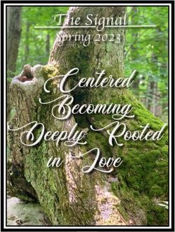Centered Becoming Deeply Rooted in Love - The Signal Spring 2023 - St Timothy's Episcopal Church