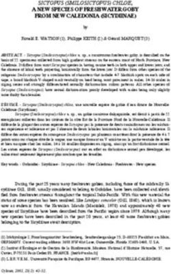 SICYOPUS (SMILOSICYOPUS) CHLOE, A NEW SPECIES OF FRESHWATER GOBY FROM NEW CALEDONIA (SICYDIINAE)