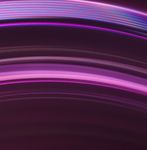 FORWARD TOGE THER 2020 CORPORATE RESPONSIBILITY REPORT - Omnicom CSR
