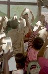 FORWARD TOGE THER 2020 CORPORATE RESPONSIBILITY REPORT - Omnicom CSR