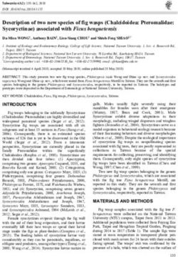 Description of two new species of fig wasps (Chalcidoidea: Pteromalidae: Sycoryctinae) associated with Ficus benguetensis