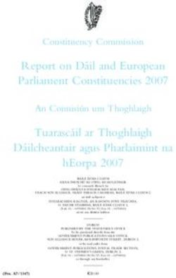 Report on Da il and European Parliament Constituencies 2007