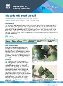 Macadamia seed weevil - NSW Department of Primary ...