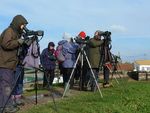 The spirit of adventure - Experience the variety of habitats in Essex Visit the Managed realignment Expert local introduction to the local ...