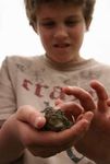 Garden Habitats Fourth Grade Science Exploration - Exploring plant and animal habitats helps students learn more about