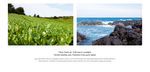 Exoticizing nature in marketing: green marketing practices of Lumene and Innisfree - Master's thesis Sanna Niskakangas - JYX