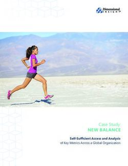 NEW BALANCE Case Study: Analytics, Integration, and KPIs for ...