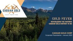 CASSIAR GOLD CORP Corporate Presentation - January 2022