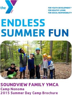 ENDLESS SUMMER FUN - SOUNDVIEW FAMILY YMCA Camp Nonoma 2015 Summer Day Camp Brochure