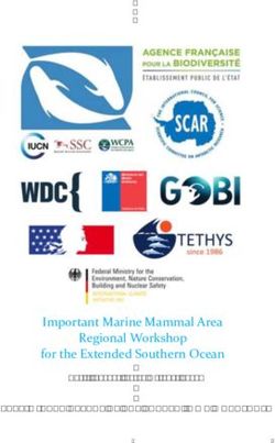 Important Marine Mammal Area Regional Workshop for the Extended Southern Ocean - PRELIMINARY REPORT OF THE FOURTH IMMA WORKSHOP Brest, France ...