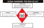 A review of transfusion- and trauma-induced hypocalcemia: Is it time to ...