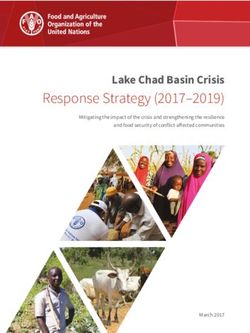 Response Strategy (2017-2019) - Lake Chad Basin Crisis Mitigating the impact of the crisis and strengthening the resilience and food security of ...