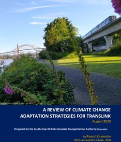 A REVIEW OF CLIMATE CHANGE ADAPTATION STRATEGIES FOR TRANSLINK