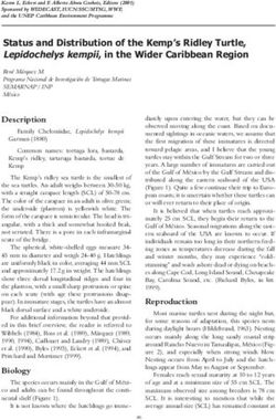 Status and Distribution of the Kemp's Ridley Turtle, Lepidochelys kempii, in the Wider Caribbean Region