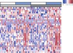 Vitamin D3 replacement enhances antigen-specific immunity in older adults
