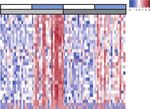 Vitamin D3 replacement enhances antigen-specific immunity in older adults
