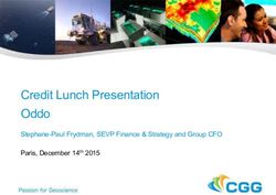 Credit Lunch Presentation Oddo - Stephane-Paul Frydman, SEVP Finance & Strategy and Group CFO - CGG