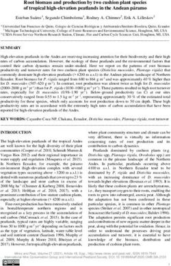 Root biomass and production by two cushion plant species of tropical high-elevation peatlands in the Andean p&aacute;ramo