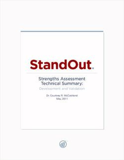 STRENGTHS ASSESSMENT TECHNICAL SUMMARY: DEVELOPMENT AND VALIDATION DR. COURTNEY R. MCCASHLAND - STANDOUT