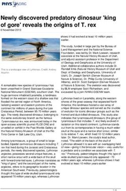 Newly discovered predatory dinosaur 'king of gore' reveals the origins of T. rex - Phys.org