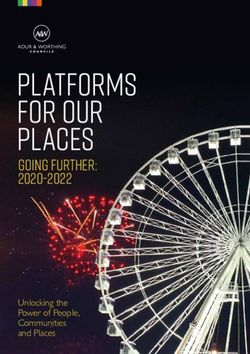 PLATFORMS FOR OUR PLACES - Going Further: 2020-2022 - Unlocking the Power of People, Communities and Places - Adur & Worthing ...