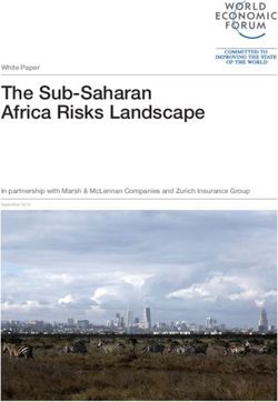 THE SUB-SAHARAN AFRICA RISKS LANDSCAPE - WHITE PAPER IN PARTNERSHIP WITH MARSH & MCLENNAN COMPANIES AND ZURICH INSURANCE GROUP - MARSH ...