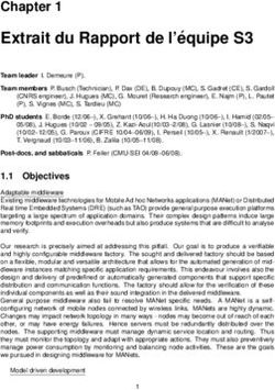 Extrait du Rapport de l' equipe S3