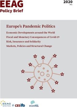 Policy Brief Europe's Pandemic Politics - Economic Developments around the World Fiscal and Monetary Consequences of Covid-19 Risk, Insurance and ...