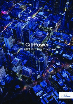 CitiPower HY 2021 Pricing Proposal - Australian Energy ...