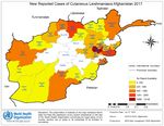 WHO AFGHANISTAN COUNTRY OFFICE 2019