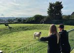 BEST EVER RESULTS... AGAIN! - DE WARENNE ACADEMY PROSPECTUS 2021-2022 - @DELTADEWARENNE DEWARENNE.ORG.UK