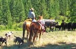 THE TRACKS YOU LEAVE BEHIND - Defenders of Wildlife