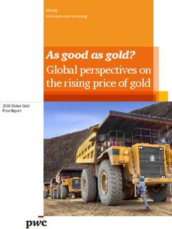 As good as gold? Global perspectives on the rising price of gold - 2010 Global Gold Price Report