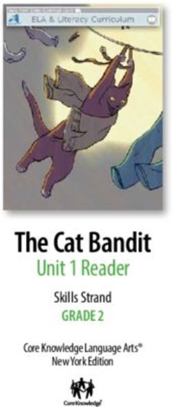 The Cat Bandit Unit 1 Reader - Skills Strand Grade 2