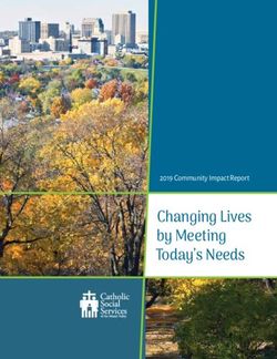 Changing Lives by Meeting Today's Needs - 2019 Community Impact Report - Catholic Social ...