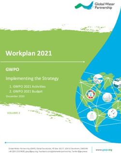 Workplan 2021 Workplan 202 - GWPO Summary Implementing the Strategy Implementing the Strategy - Global Water Partnership