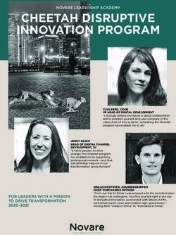 CHEETAH DISRUPTIVE INNOVATION PROGRAM - NOVARE LEADERSHIP ACADEMY