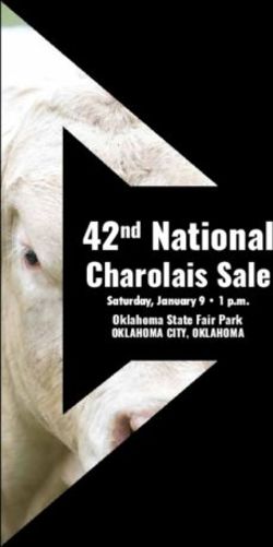 42nd National Charolais Sale - Oklahoma State Fair Park - American International ...