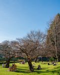 UNIVERSITY OF OTAGO - Undergraduate Prospectus 2024