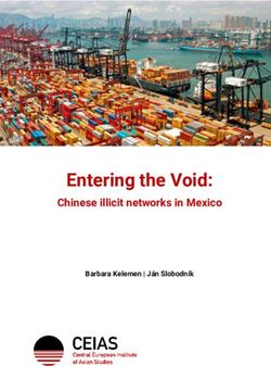 Entering the Void: Chinese illicit networks in Mexico - Barbara Kelemen | Ján Slobodník - CEIAS