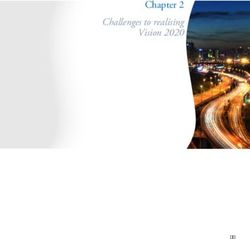 Challenges to realising Vision 2020