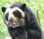 EAZA NUTRITION GROUP Programme Booklet - European Nutrition Conference 2021 Online