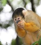 EAZA NUTRITION GROUP Programme Booklet - European Nutrition Conference 2021 Online